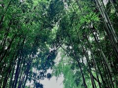 -成都杜甫草堂博物馆