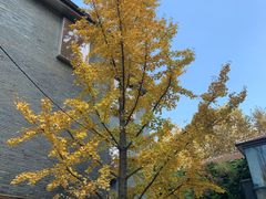 -徐家汇源景区-衡山坊