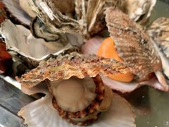 -宾朋海鲜饭庄(兴海路店)