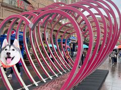 -新疆国际大巴扎