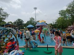 -苏州乐园森林水世界