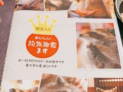 -赤谷和牛烧肉居酒屋(石景山店)