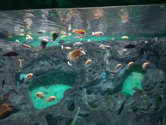 -常州海昌海洋探索馆