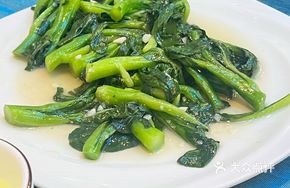 Stir-Fried Bok Choy with Garlic