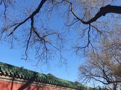 -历代帝王庙博物馆