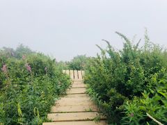 -白草畔自然风景区