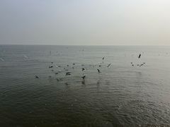 -天津东疆湾沙滩景区