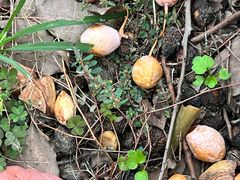 -华东政法大学(松江校区)