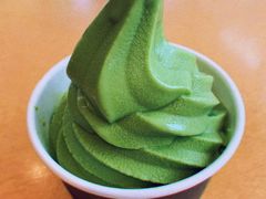 -雪绿茶博物馆