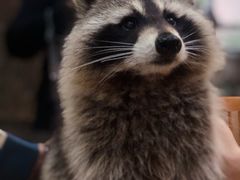 -藦茜花园宠物主题亲子互动体验馆(国顺东路店)