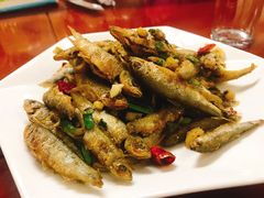 -品雅轩农家乐