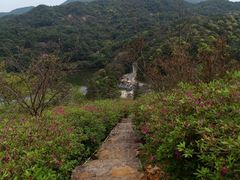-广州市石门国家森林公园