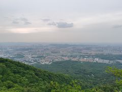 -紫金山山顶公园
