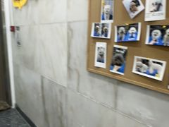 -瑞鹏宠物医院华南总院·夜诊·心脏科·骨科