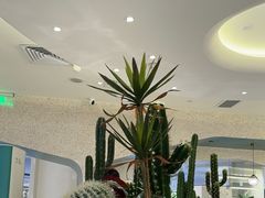 -椰客·海南椰子鸡(天河万菱汇店)