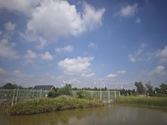 -盐城丹顶鹤湿地生态旅游区