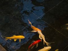 -天津海河悦榕庄·Lobby Lounge大堂吧