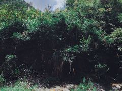 -天台雷峰十里峡谷漂流