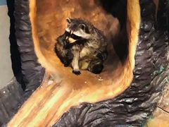 -昆明大悦城未来动物城(螺蛳湾中心店)