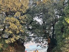 -窦圌山风景区