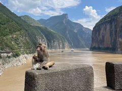 -白帝城·瞿塘峡景区