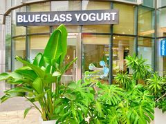 -Blueglass酸奶(财富购物中心店)