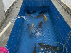 -北京古堡35号院