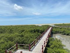 -北海金海湾红树林生态旅游区