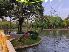 -晓港公园