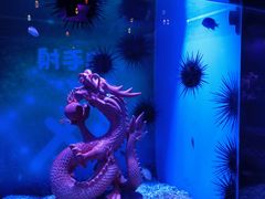 -上海海昌海洋公园