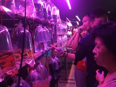 -中环花鸟鱼虫市场
