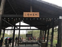 -溱湖国家湿地公园