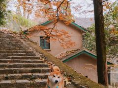 -莫干山风景区