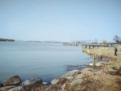 -长广溪湿地公园