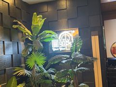 -圆苑(金茂店)