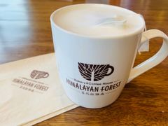-喜马拉雅森HIMALAYAN FOREST