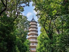 -灵谷景区