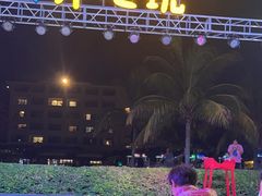 -渔家火锅·海鲜自助餐·演艺(亚龙湾天域酒店)