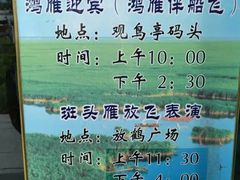 -南大港湿地风景区