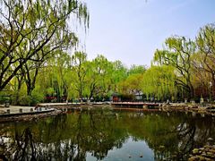 -玲珑塔公园