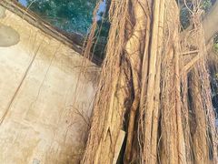 -文儒九号·闽菜馆(三坊七巷店)