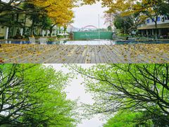 -喜洲吧·江畔老船厂·庭院餐厅(喜临院店)