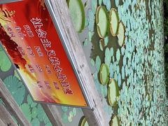 -大湾区中央湿地公园
