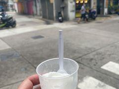 -洪馨椰子
