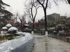 -莲湖公园