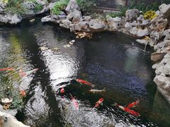 -鲤院·新中式美学·庭院餐厅(夫子庙店)