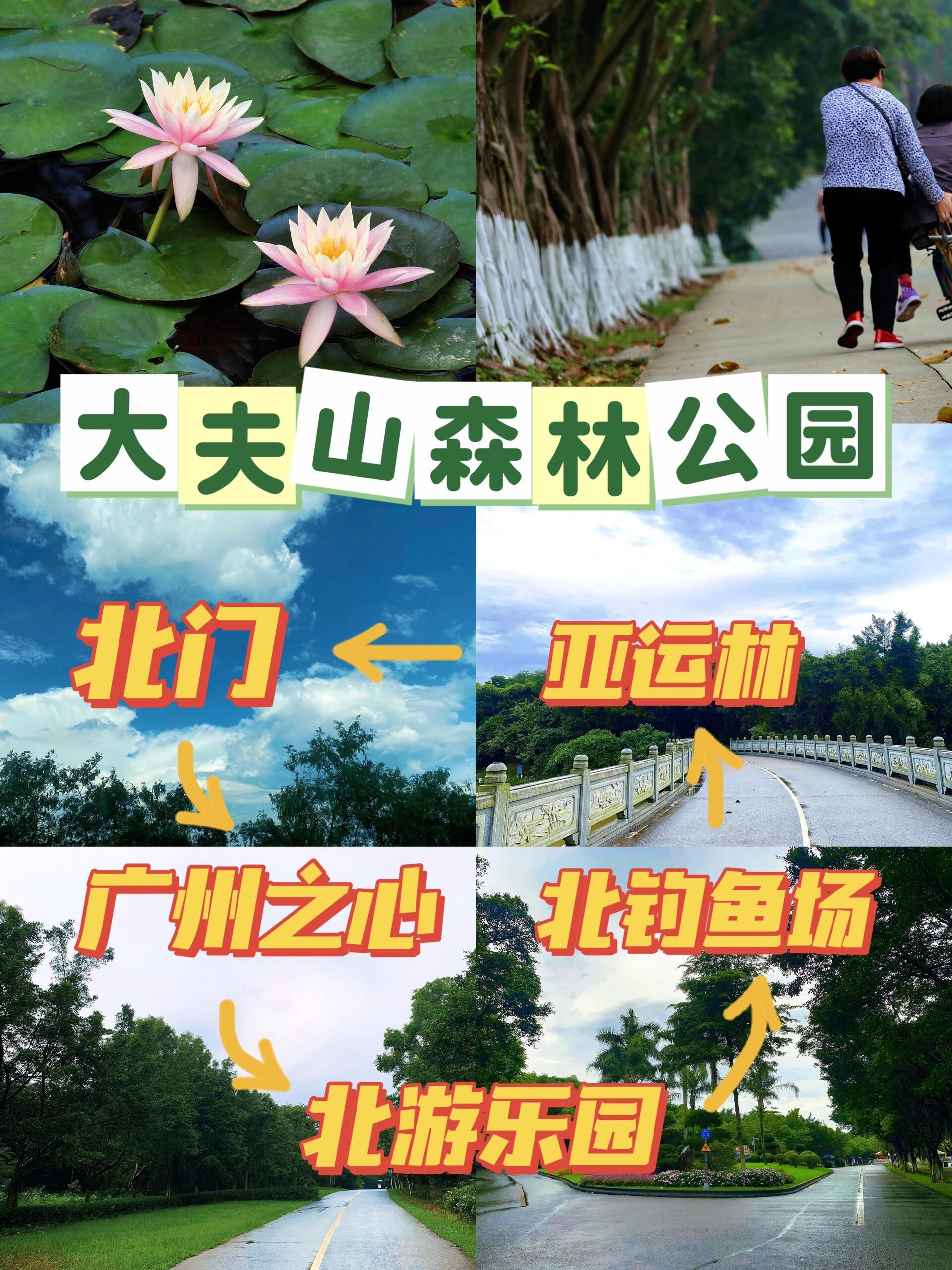 广州大夫山不费腿亲子半日游