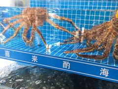 -喜来酌海鲜·饺子(和平一店)