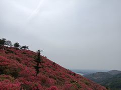 -木兰云雾山