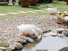 -HERRE·FARM 赫尔露营农场·团建聚会包场